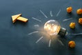 Education and leadership concept image. Creative idea and innovation. Light bulb as metaphor over blackboard Royalty Free Stock Photo