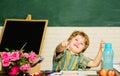 Education and learning. Back to school. Smiling little schoolboy in classroom. Elementary school child sitting at desk Royalty Free Stock Photo