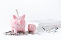 Education money savings in a piggybank