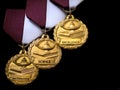 Education School University Academic Excellence Science Math Awards gold medals success achievement victory concept