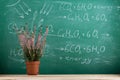 Education and science concept - photosynthesis shem and formula on the blackboard in the auditorium