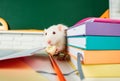 Education, science, school, learn and study concep. Funny animals white rat. Royalty Free Stock Photo