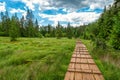 Education trail through bogland in Slana voda, Slovakia Royalty Free Stock Photo