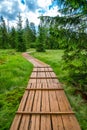 Education trail through bogland in Slana voda, Slovakia Royalty Free Stock Photo