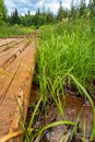 Education trail through bogland in Slana voda, Slovakia Royalty Free Stock Photo