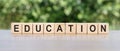 Education - word from wooden blocks with letters  concept of teaching or learning in school or college  on the table Royalty Free Stock Photo