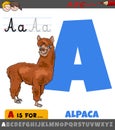 Letter A from alphabet with cartoon alpaca animal