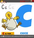 Letter C from alphabet with cartoon chick animal character