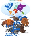 Educational illustration of cartoon North American animals