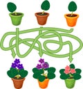 Educational children matching game for children of preschool age. Find the right flowering African violets Saintpaulia plant