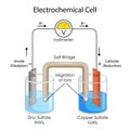 Educational Diagram of Chart showing Physics concept of Electrochemical Cell Royalty Free Stock Photo