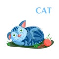 Educational flashcard kitten resting after a game with a ball of threads Royalty Free Stock Photo