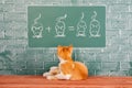 Educational funny concept about red Cat studied mathematics example of addition of mice Royalty Free Stock Photo