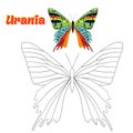 Educational game coloring book butterfly vector