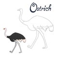 Educational game coloring book ostrich bird