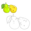 Educational game coloring book pear fruit vector Royalty Free Stock Photo
