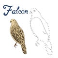 Educational game connect dots draw falcon bird