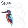 Educational game connect dots draw kingfisher bird