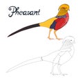 Educational game connect dots draw pheasant bird Royalty Free Stock Photo