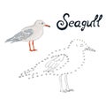 Educational game connect dots to draw seagull bird