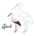 Educational game connect dots to draw stork bird