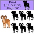 Educational game: Find the correct shadow. Cute beautiful urial smiles Royalty Free Stock Photo