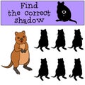 Educational game: Find the correct shadow. Little cute quokka smiles Royalty Free Stock Photo