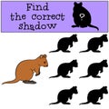 Educational game: Find the correct shadow. Little cute quokka smiles Royalty Free Stock Photo