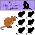 Educational game: Find the correct shadow. Little cute quokka smiles Royalty Free Stock Photo