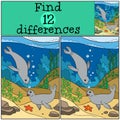 Educational game: Find differences. Two little cute seals.