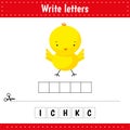 Educational game for kids. Crossword. Chick. Animal.Guess the word. Education developing worksheet. Learning game for kids.