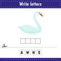 Educational game for kids. Crossword. Swan. Animal. Guess the word. Education developing worksheet. Learning game for kids