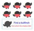 Educational game for kids. Find a bullfinch from which the shadow falls