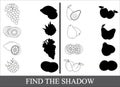 Educational game for kids. Find the correct shadow.Coloring book Royalty Free Stock Photo