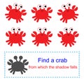 Educational game for kids. Find a crab from which the shadow falls