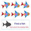 Educational game for kids. Find a fish from which the shadow falls.