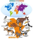 Educational illustration with African animals and continents map
