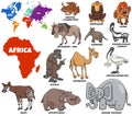 Educational illustration of cartoon African animals set