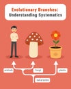 Evolutionary tree infographic: humans, mushrooms, and plants Royalty Free Stock Photo