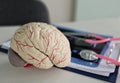 Educational model of a human brain placed alongside medical tools and documents Royalty Free Stock Photo