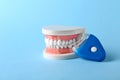 Educational model of oral cavity with teeth and whitening device Royalty Free Stock Photo