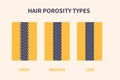 Educational poster of hair porosity types chart