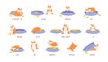 Educational set of hamster and English prepositions of place and movement. Cute and funny animal with bowls and