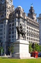 Edward VII statue and Liver Building. Royalty Free Stock Photo