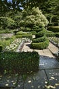 Topiary in Garden at Beautiful Country House near Leeds West Yorkshire that is not National Trust Royalty Free Stock Photo