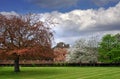 Edzell Castle on a Spring Day