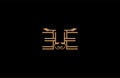 EE letter linear shape luxury flourishes ornament logotype