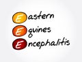 EEE - Eastern Equine Encephalitis acronym, medical concept background