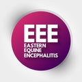 EEE - Eastern Equine Encephalitis acronym, medical concept background