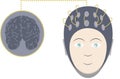 EEG and brain